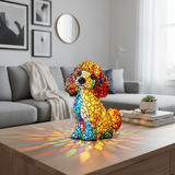 Půvabný šarm pudla